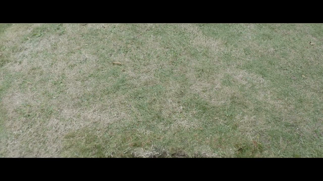 Chase & Status - All Goes Wrong ft. Tom Grennan-hkDGGsuVKVo.mp4